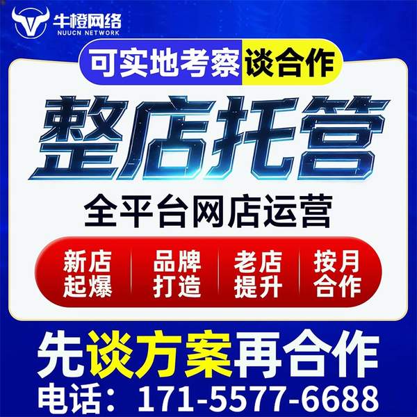 泉州电商代运营
