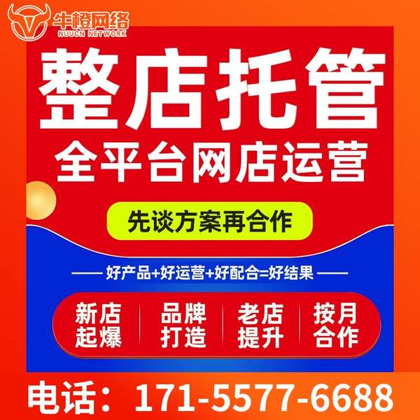 泉州电商代运营