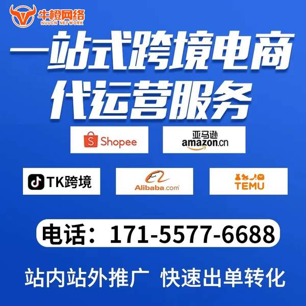 泉州电商代运营