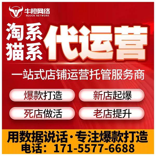 泉州电商代运营